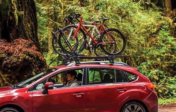 Yakima Bike Racks And Accessories